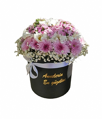 Kutuda Annelere zel iek