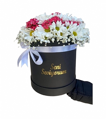 Kutuda Papatya ve Hsnyusuf leni