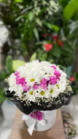 Kutuda Papatya, Karanfil Aranjmanı