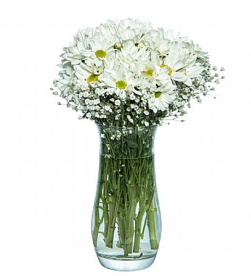 Paabahe Vazoda Beyaz Papatyalar